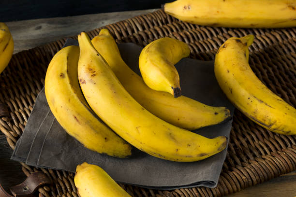 istock Raw Organic Yellow Plantain Bananas 860745738