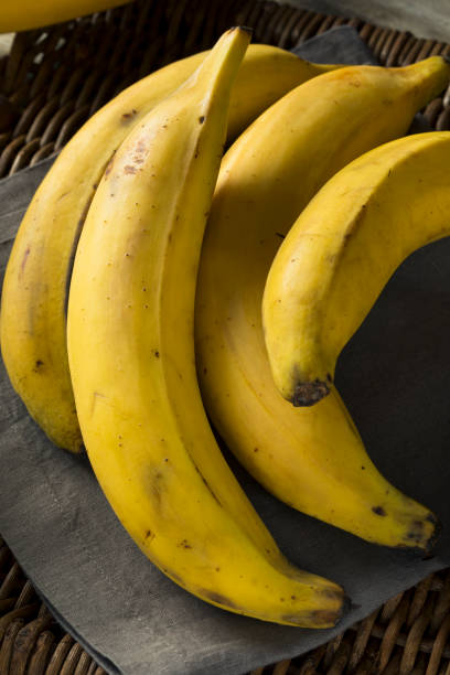 istock Raw Organic Yellow Plantain Bananas 860746918