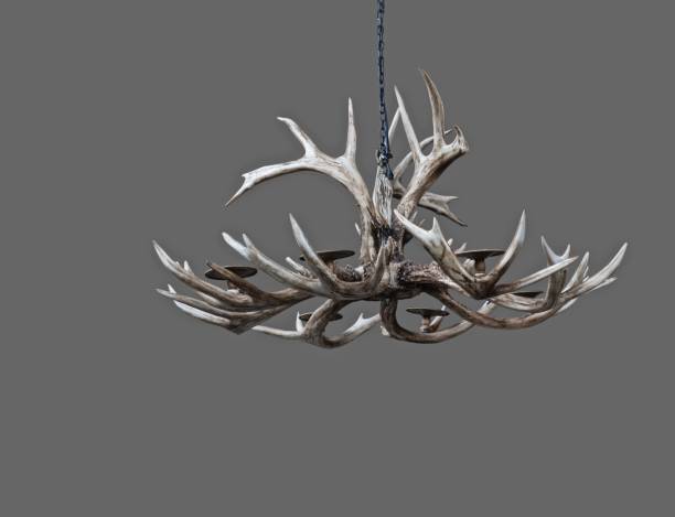 istock Deer Antler Chandelier Isolated On Gray Background 860749288