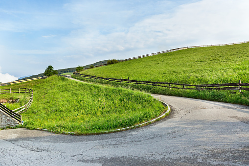 winding road among the grass landscape