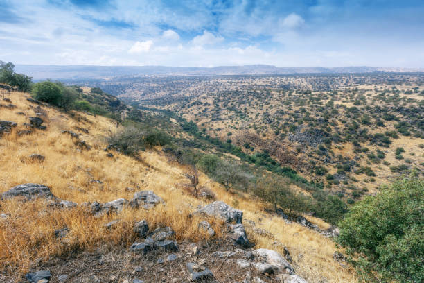 istock Nature of Israel 860757642