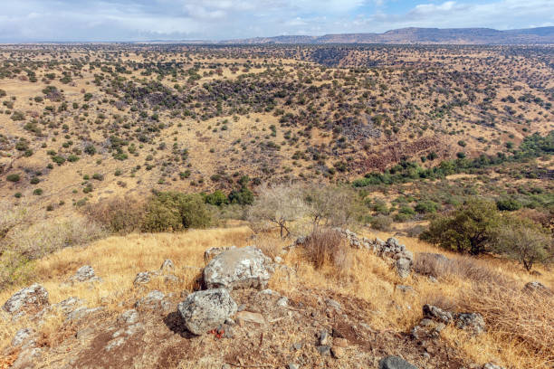 istock Nature of north Israel 860760190