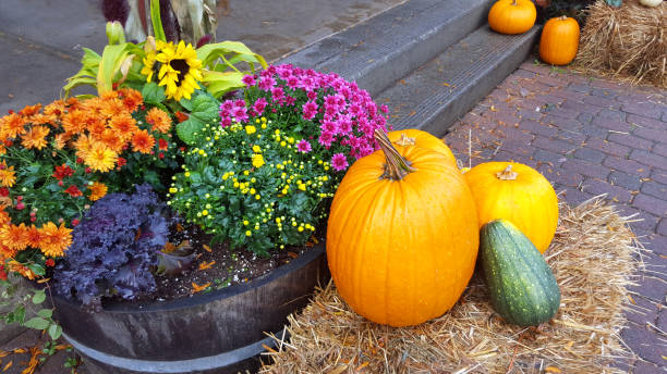 Colorful Autumn Thanksgiving display with flowers,pumpkins and straw.