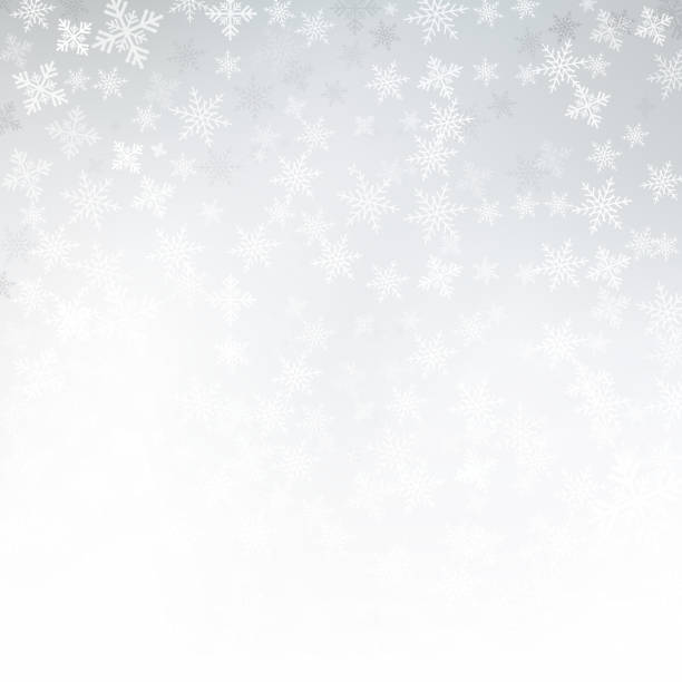 冬の白背景クリスマス雪とテキスト、ベクトルの空白コピー スペースと雪で作られました。 - backgrounds christmas snow white点のイラスト素材／クリップアート素材／マンガ素材／アイコン素材