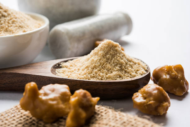 asafoetida cake and powder or hing or heeng - mortar and pestle condiment isolated food imagens e fotografias de stock