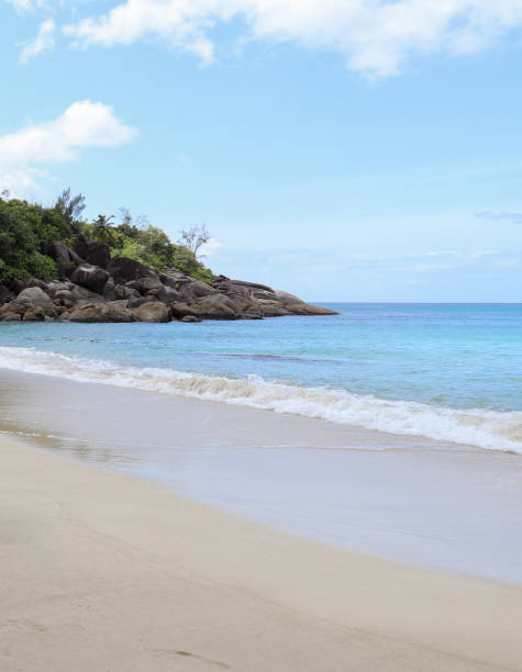 istock Anse Major wild beach. Mahe island. Seychelles 860783886