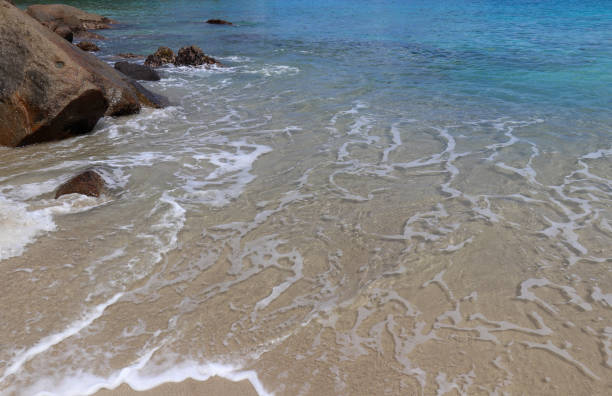 istock Anse Major wild beach. Mahe island. Seychelles 860786232
