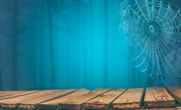 Halloween background with cobweb background stock photo