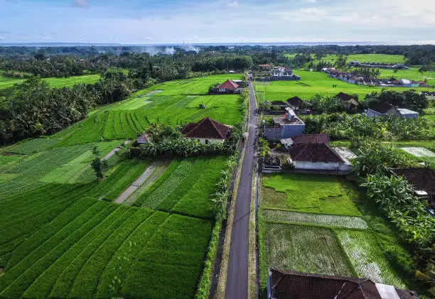 Bali is well known for its beautiful scenery and unique culture. Also known to its well managed rice field. The system for managing the water management called Subak and has been implemented since hundreds of year earlier.
