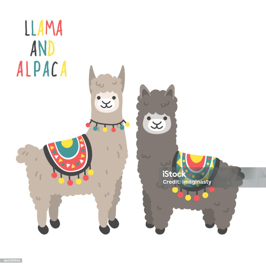 Cute llama and alpaca set Cartoon character vector illustration.Funny smiling animals. Alpaca stock vector