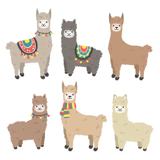 Vector illustration of Cute llama and alpaca set
