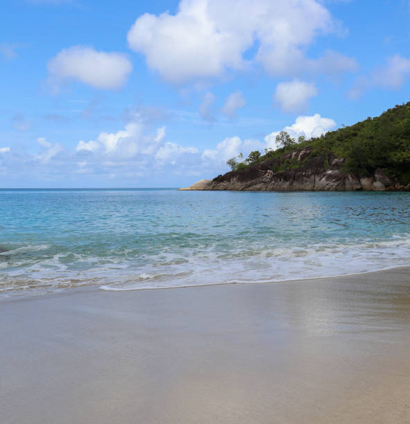 istock Anse Major wild beach. Mahe island. Seychelles 860792914