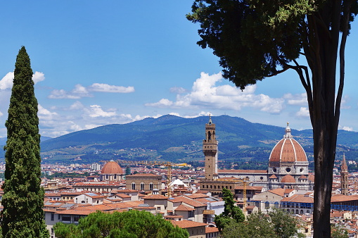 View of Florence from Bardini garden, Italy