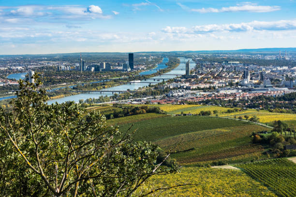 istock Vienna Aerial View In Autumn 860794410