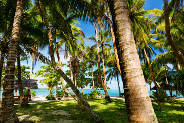 tropical palm covered guyam island, siargao - nautical vessel philippines mindanao palawan imagens e fotografias de stock