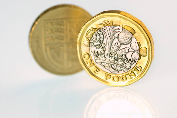 New and old pound coins Close up of the new UK pound coin released into circulation 30 Mar 2017 and the old pound coin which goes out of circulation 16 Oct 2017. This is shows the tail of both coins. one pound coin stock pictures, royalty-free photos & images