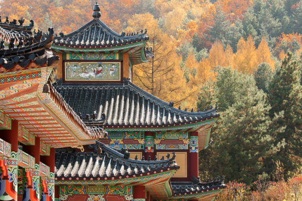 The ornate eaves of the Daeseongsa Temple high on Mt. Umyeonsan illuminated at night overlooking the glittering skyscrapers of Seoul’s crowded cityscape, South Korea.