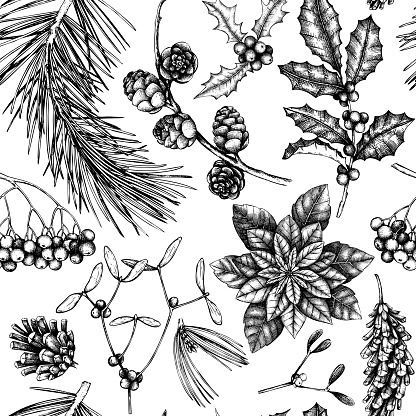 Vector background with hand drawn winter trees sketch. Seamless pattern with traditional christmas plants and flowers. Vintage holiday decor.