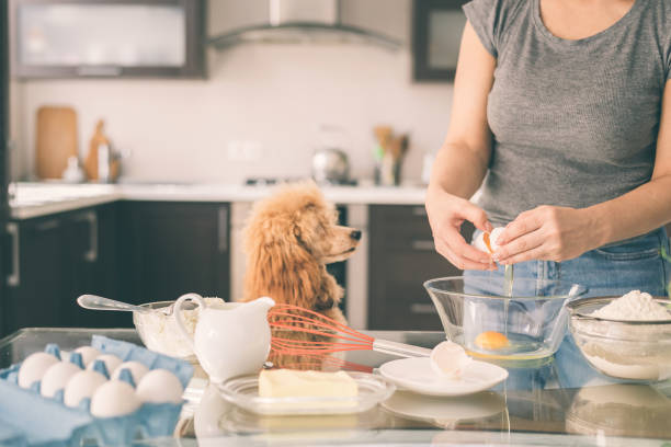 istock Young woman with her dog is making breakfast . 860834012