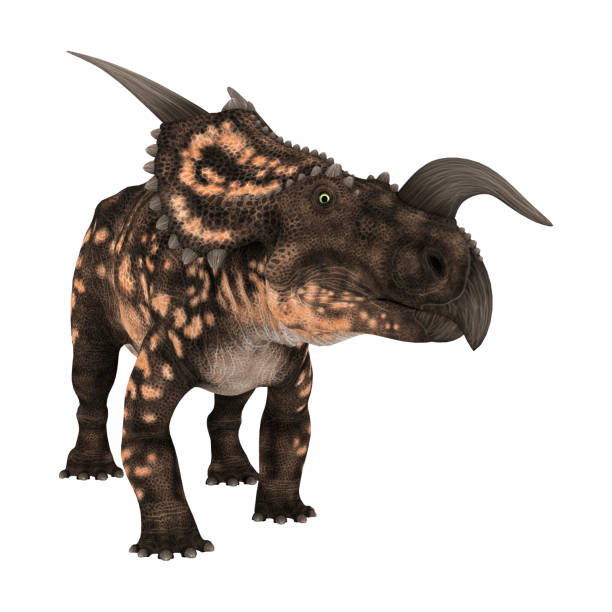 dinosaurio 3d renderizado einiosaurus en blanco - paleobiology fotografías e imágenes de stock