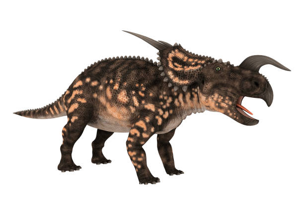 白の 3 d レンダリング恐竜エイニオサウルス - paleobiology ストックフォトと画像