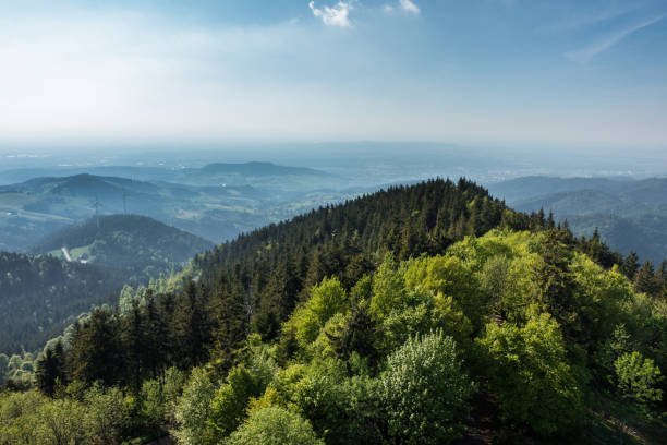 вид на черный лес - black forest стоковые фото и изображения