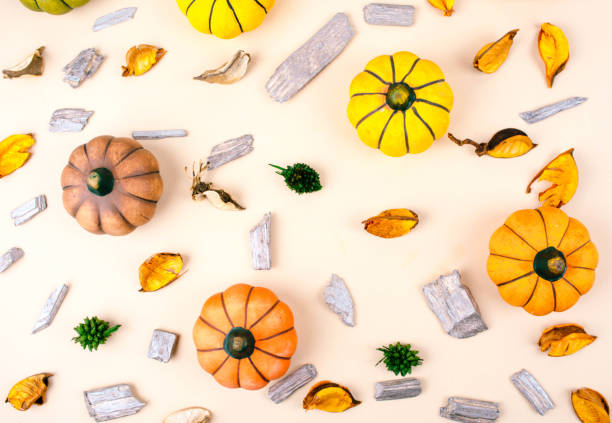 Decorative pumpkins on beige background.