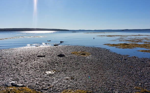 istock Low tide at Searsport, Maine with sunlight 860857456