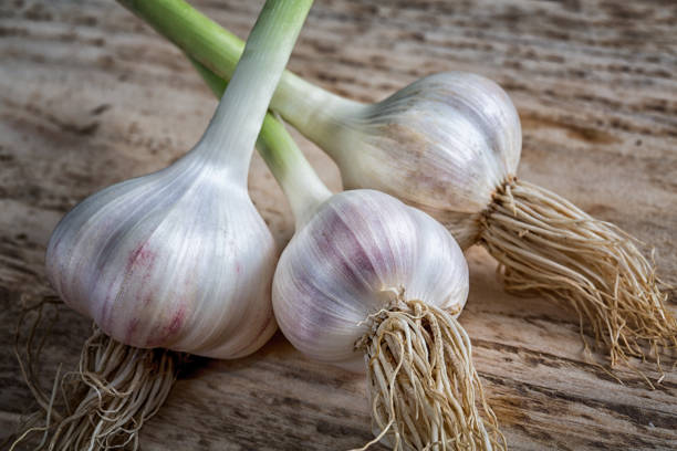 istock head of garlic on the table rustic still-life 860870568