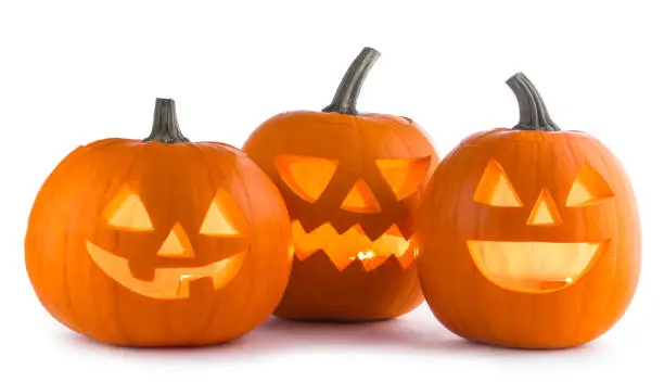 Photo of Halloween Pumpkins on white