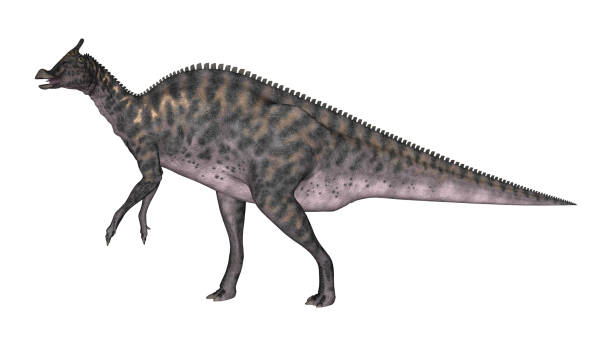 istock 3D rendering dinosaur Saurolophus on white 860877590
