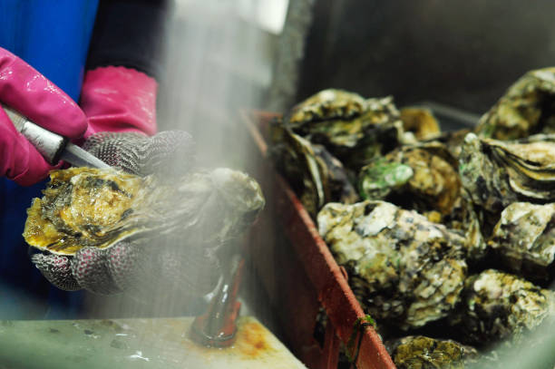 istock seafood fish market 860879894