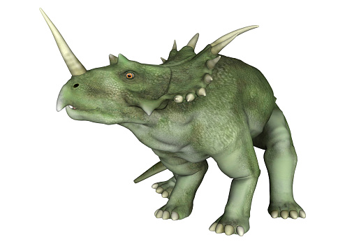 3D digital render of a dinosaur Styracosaurus or spiked lizard, a genus of herbivorous ceratopsian dinosaur from the Cretaceous Period (Campanian stage) isolated on white background