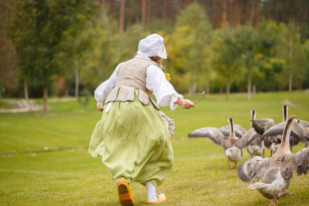 A peasant woman grazes a geese in a meadow. back view