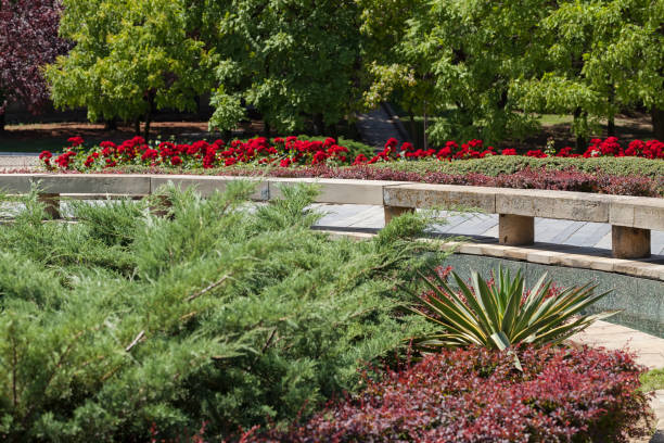 istock flowers in the park 860887728