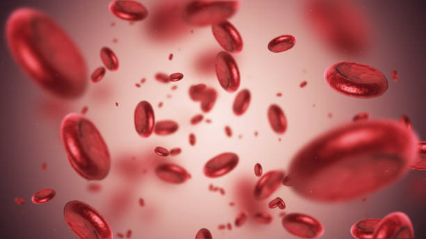 Blood cells 3d render Blood cells (depth of field) blood vessel stock pictures, royalty-free photos & images