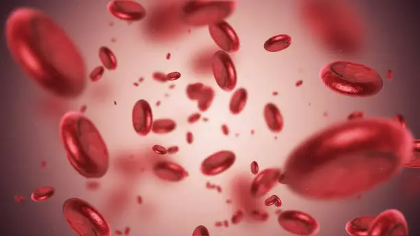 3d render Blood cells (depth of field)