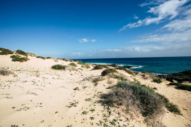 istock Summer beach and rocks / ocean. 860898300
