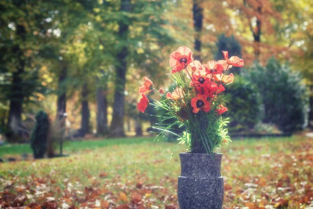 Bouquet of poppy flowers in a sunny autumn cemetery - fotografia de stock