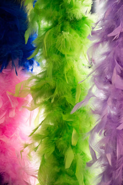 istock Beautiful bird feathers for decorative aims 860898726
