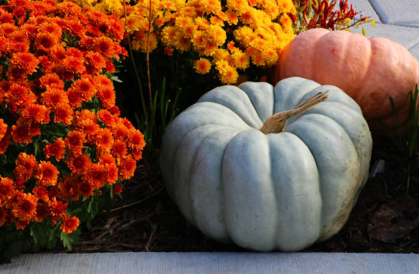 istock Colors of autumn background. 860900480