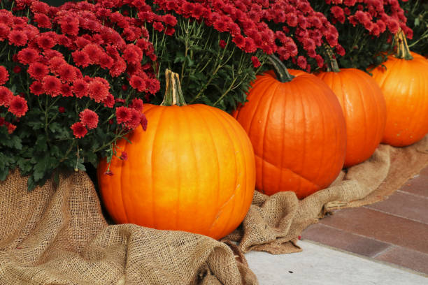 istock Colors of autumn background. 860900642