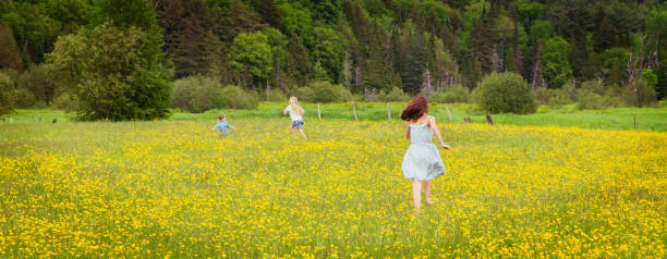 Four siblings walking in a yellow wild flower field