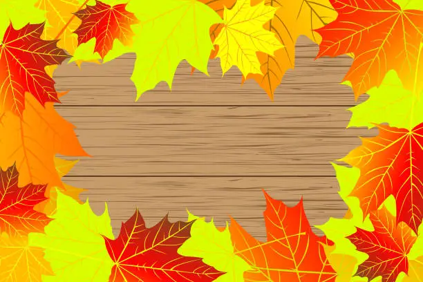 Vector illustration of Autumnal leaf of maple