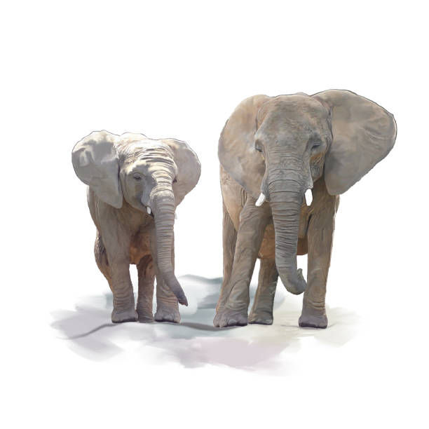 istock Mother and Baby Elephants watercolor 860904912