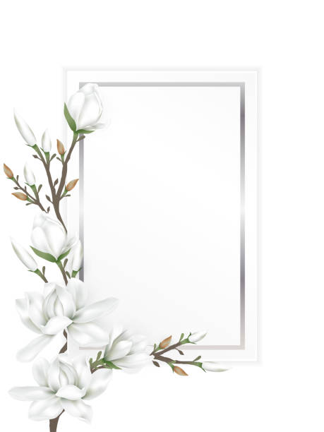 gałęzie magnolii na papierowej karcie - memorial stock illustrations