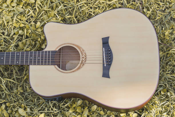 istock Country and Western Music 860910068