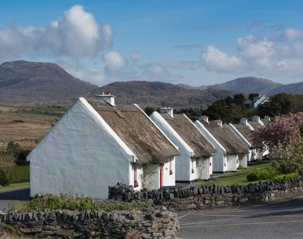 Traditional cottages with thatched roof in Galway, Ireland Old traditional houses in Connemara, County Galway. The photo was taken at daytime in springtime. connemara national park stock pictures, royalty-free photos & images