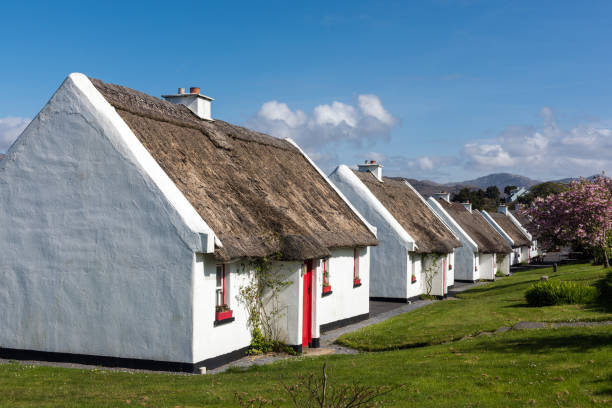 Traditional cottages with thatched roof in Galway, Ireland stock photo