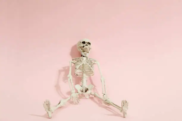Photo of Pink skeleton